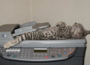 imagescat-scan